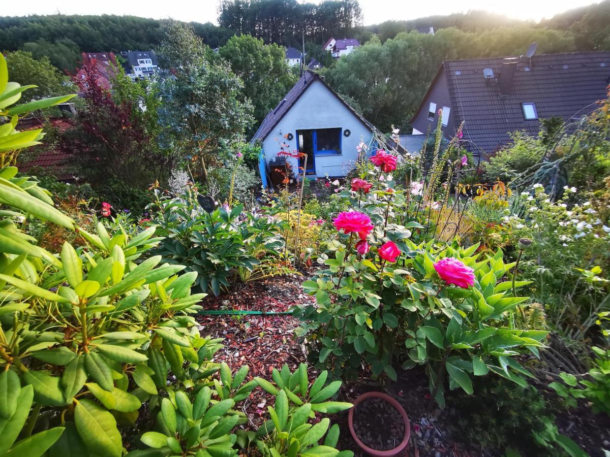 Ferienhaus Mit Riesen Garten, Drei Terrassen, Toller Aussicht Am Waldrand, Auch Als Monteur-Wohnung Hemer Εξωτερικό φωτογραφία